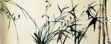 无竹不成寨说的是哪个民族与竹子有紧密关系