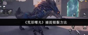 荒原曙光皇冠有何作用