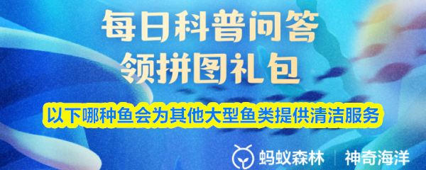 以下哪种鱼会为其他大型鱼类提供清洁服务