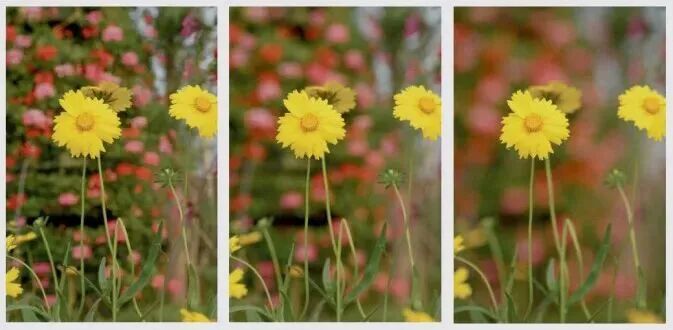 影响照片景深（虚化程度）的 5 个因素