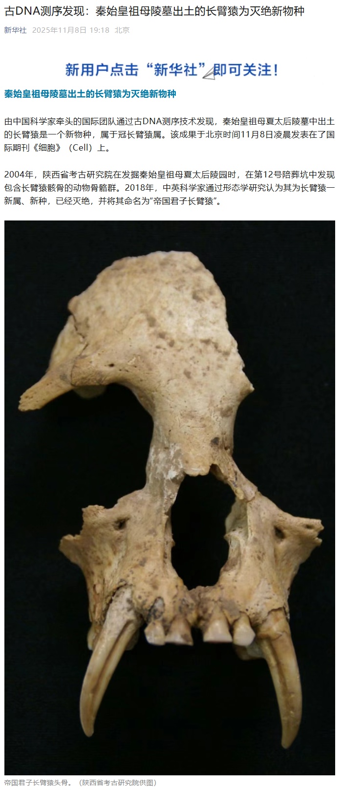 古 DNA 测序揭示秦始皇祖母陵墓出土长臂猿为灭绝新物种