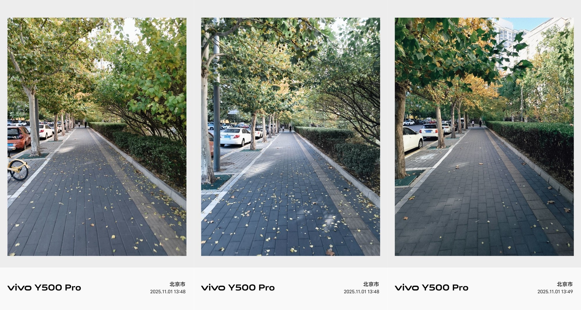 vivo Y500 Pro体验：2亿像素影像加持，这才是“硬核”的国民机