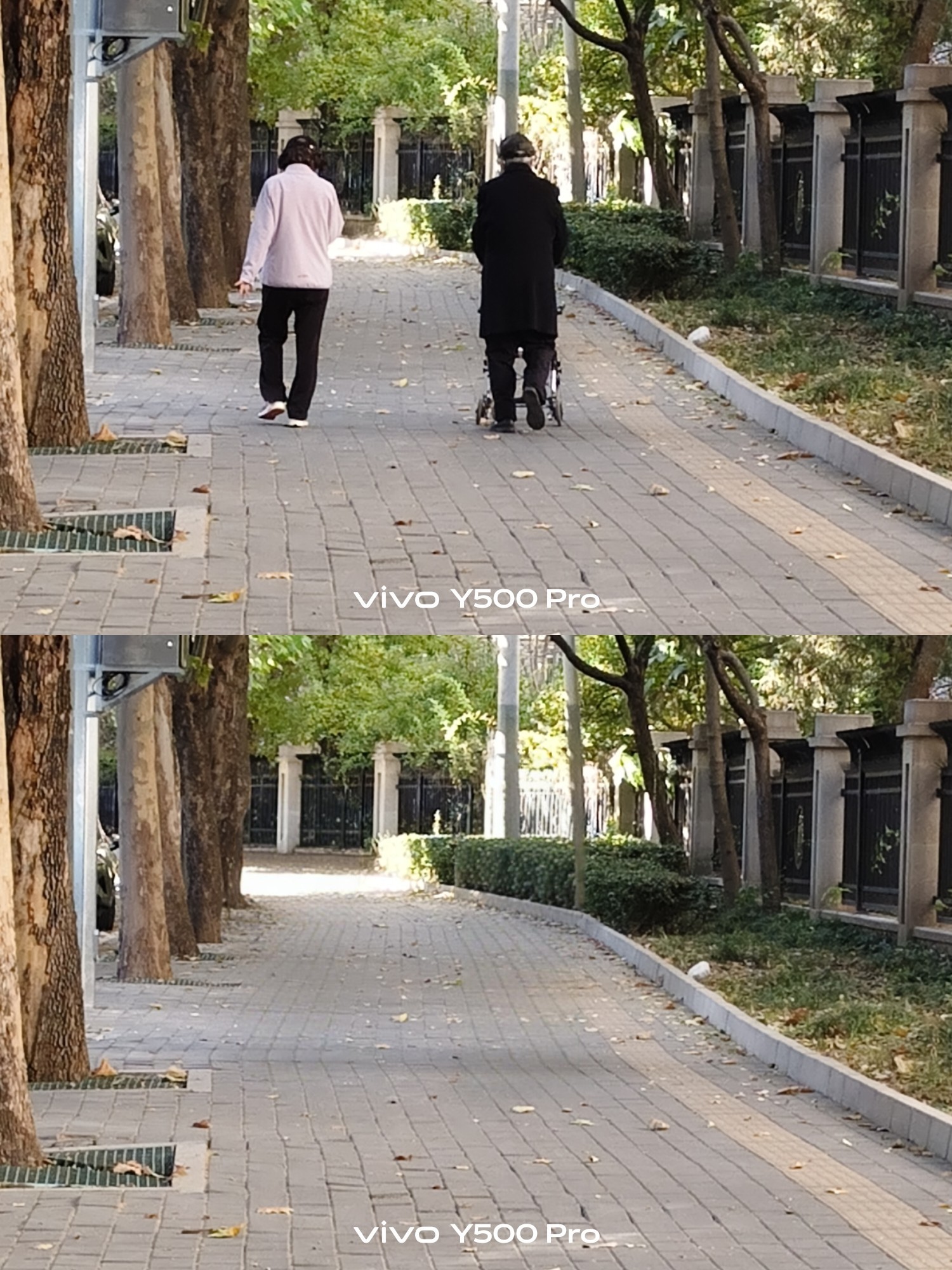 vivo Y500 Pro体验：2亿像素影像加持，这才是“硬核”的国民机