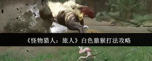 《怪物猎人：旅人》白色猿猴打法攻略