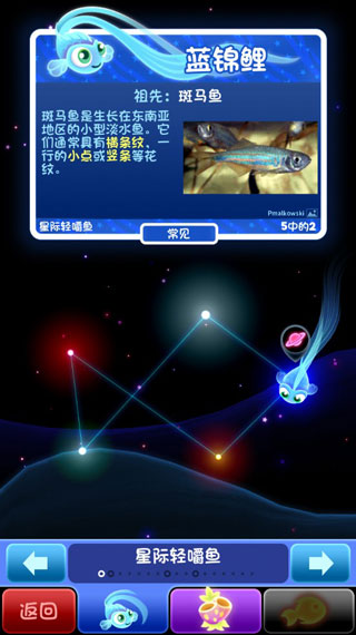 超级星鱼苹果版