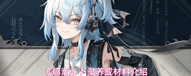 《鸣潮》卜灵养成材料介绍