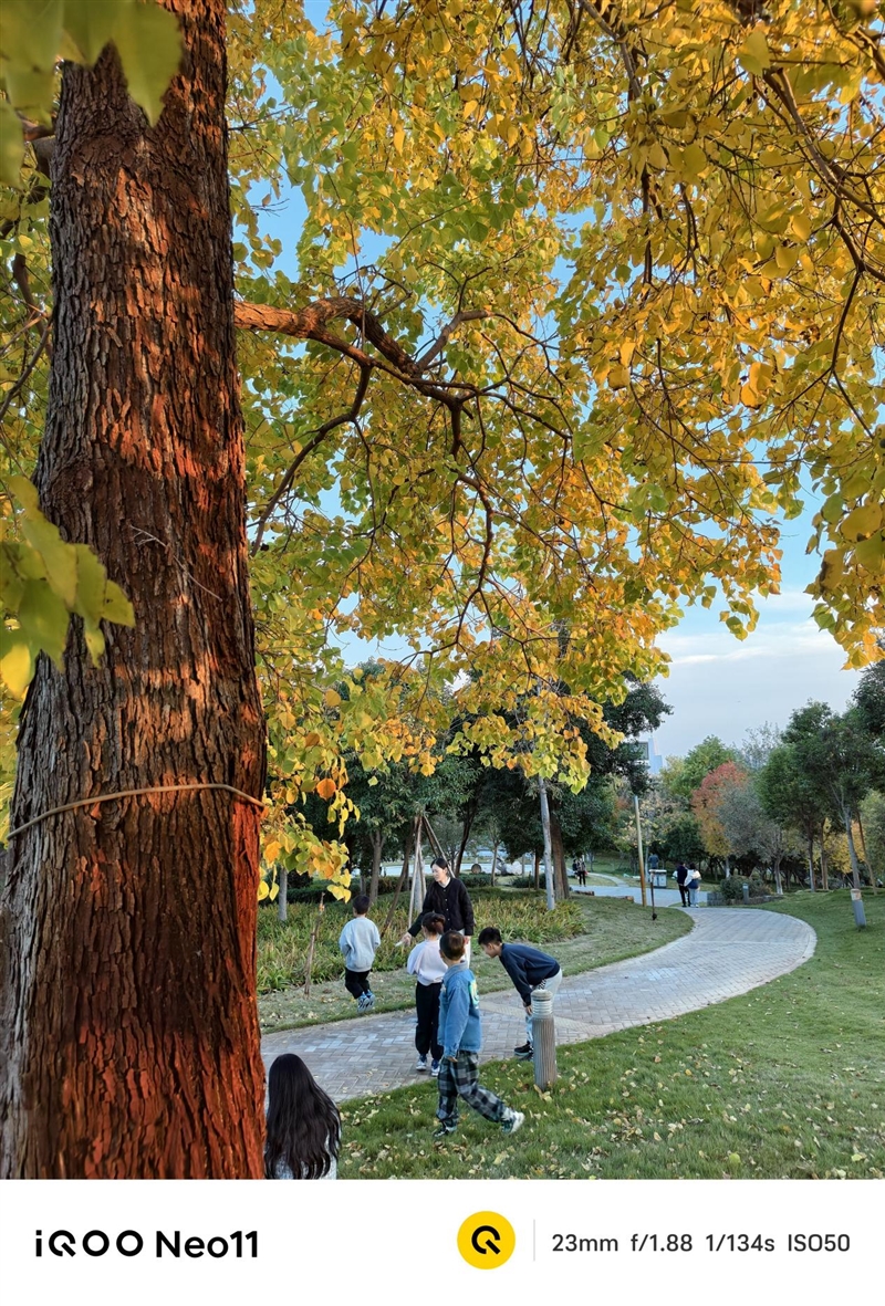 骁龙8至尊版+Q2独显芯片! iQOO Neo11评测:首批144Hz《王者荣耀》