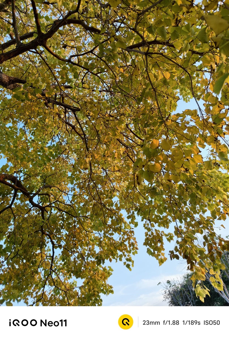 骁龙8至尊版+Q2独显芯片! iQOO Neo11评测:首批144Hz《王者荣耀》