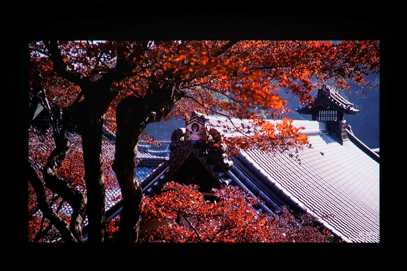 三色激光画质惊人！当贝D7X激光投影仪评测：三千元不到就能体验旗舰技术