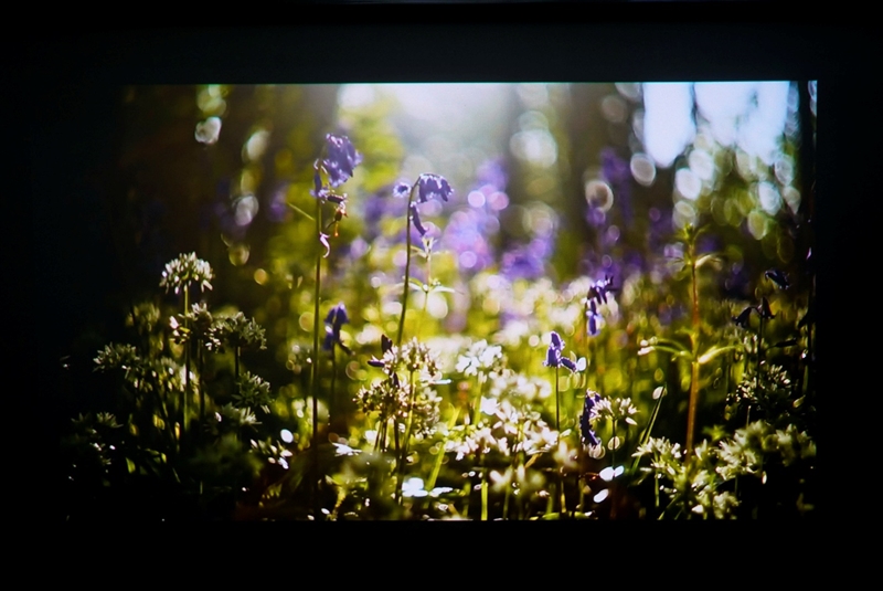 三色激光画质惊人！当贝D7X激光投影仪评测：三千元不到就能体验旗舰技术