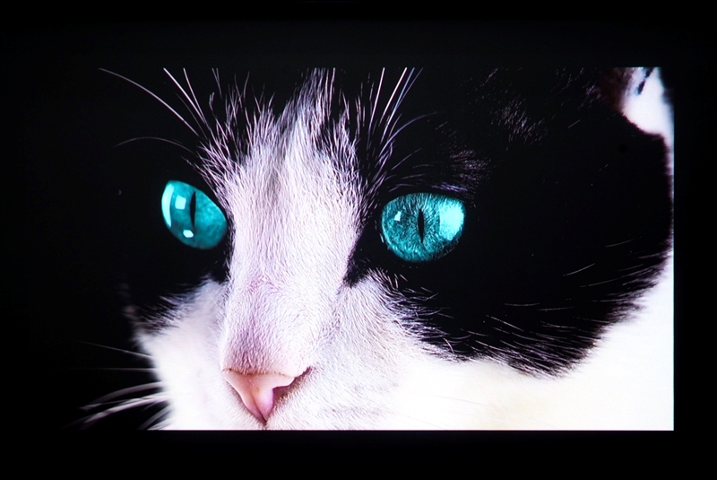 三色激光画质惊人！当贝D7X激光投影仪评测：三千元不到就能体验旗舰技术