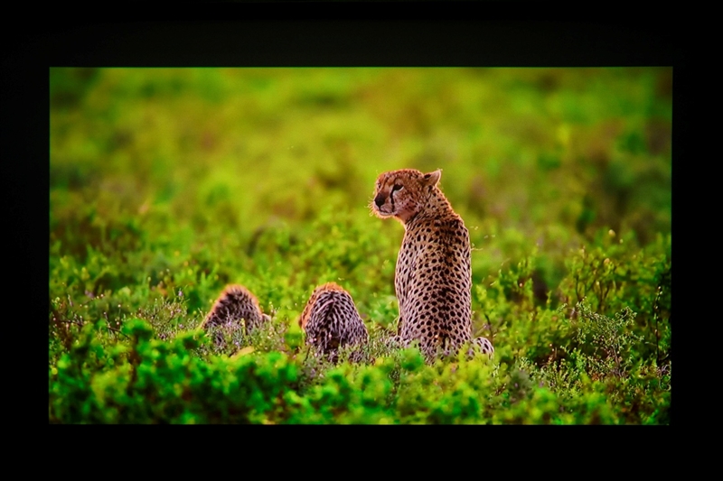 三色激光画质惊人！当贝D7X激光投影仪评测：三千元不到就能体验旗舰技术
