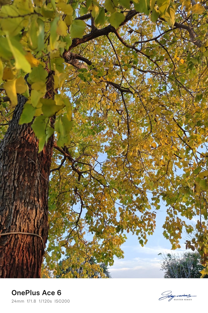 同档唯一165Hz!一加Ace 6评测体验:打游戏的不二之选