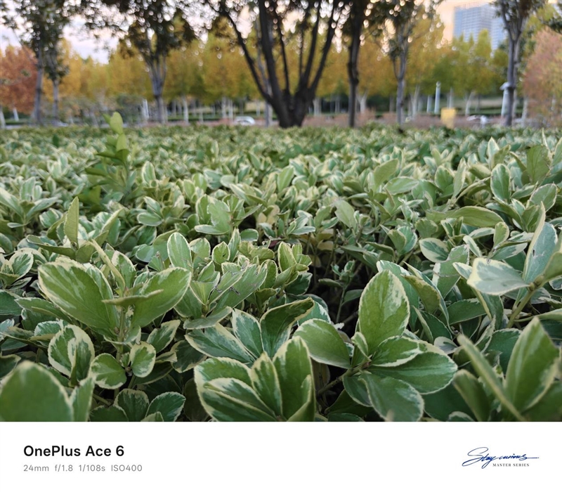 同档唯一165Hz!一加Ace 6评测体验:打游戏的不二之选