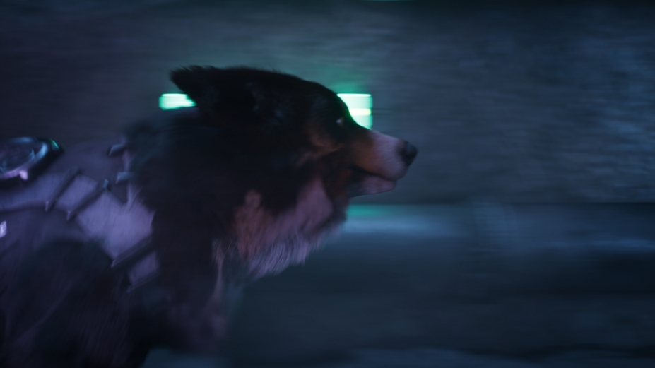 Barkour免安装绿色中文版