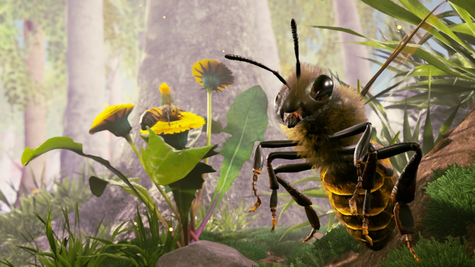 小小世界：原野求生电脑版免费最新