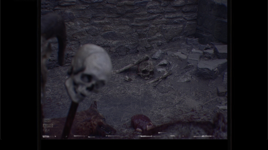 妖术3：超自然现象绿色中文版