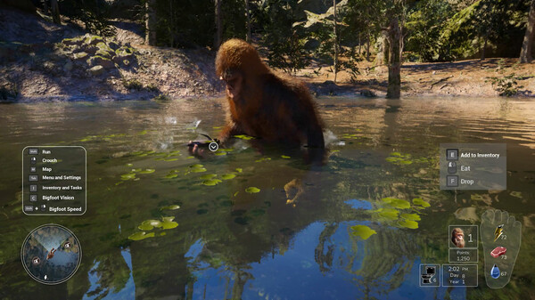 大脚怪的生活免安装绿色中文版