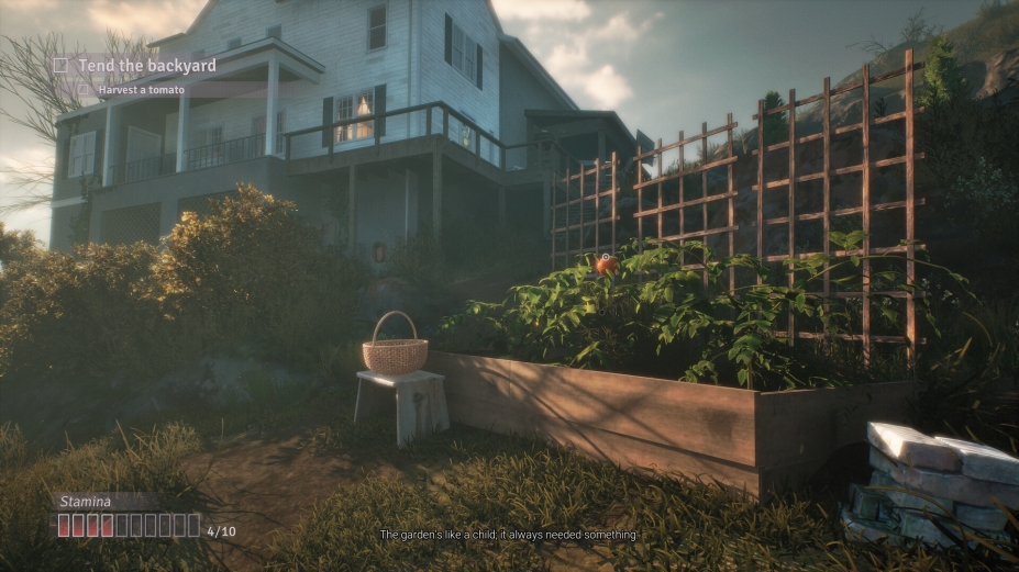 绯花绽放中文体验版