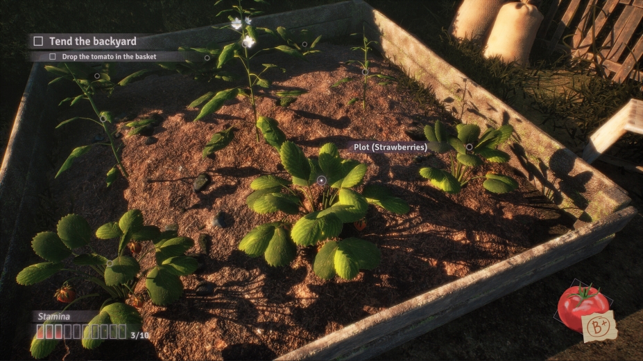 绯花绽放中文体验版