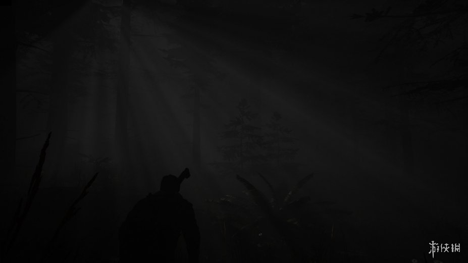 维持生存免安装绿色中文版