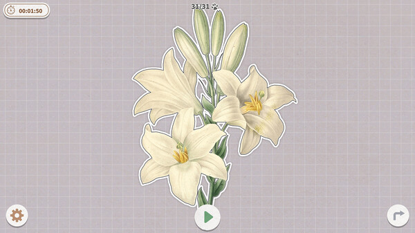 挤在一起的植物免安装绿色中文版