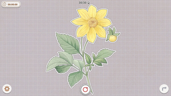 挤在一起的植物免安装绿色中文版