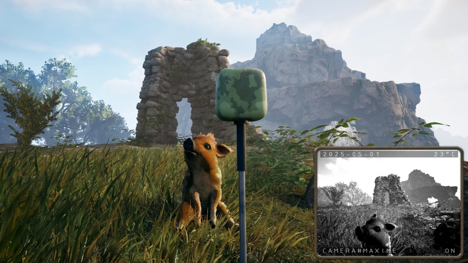 萌猪大冒险免安装绿色版