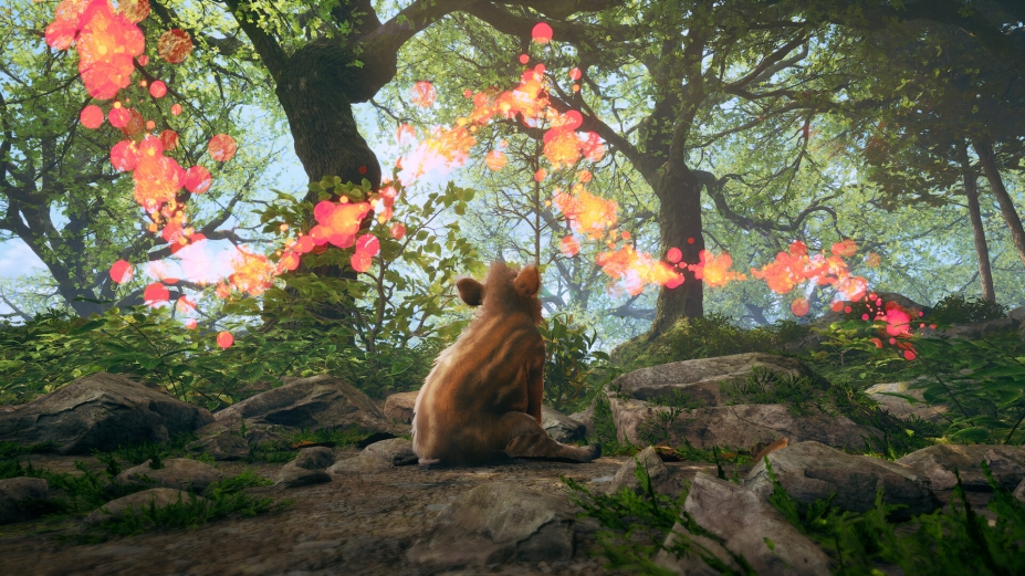 萌猪大冒险免安装绿色版