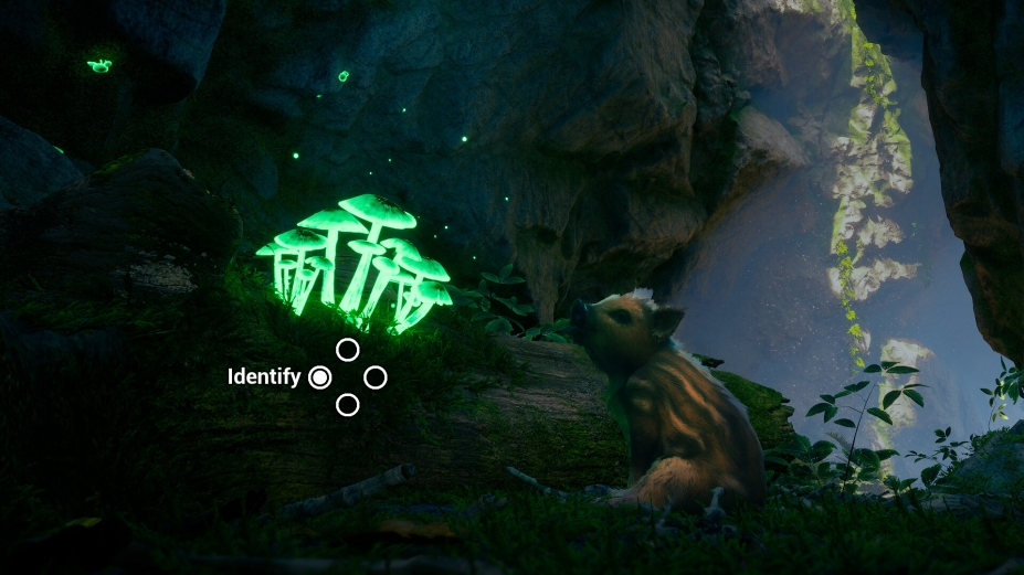 萌猪大冒险免安装绿色版