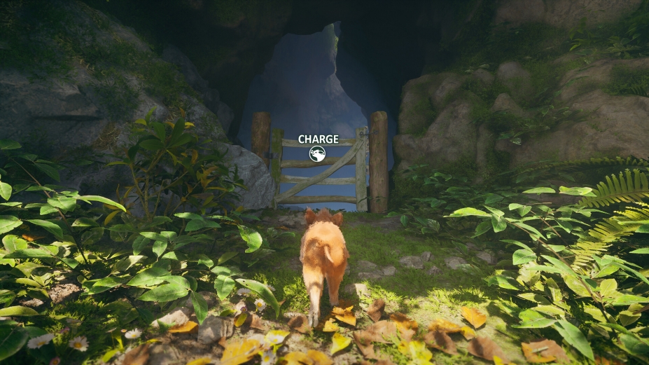 萌猪大冒险免安装绿色版