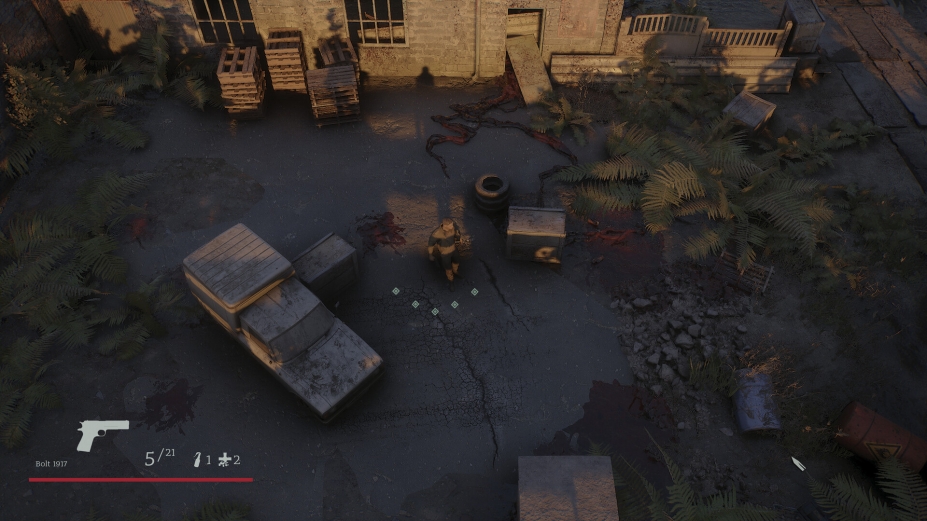 森林尽头免安装绿色版