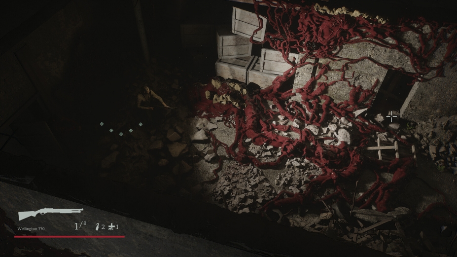 森林尽头免安装绿色版