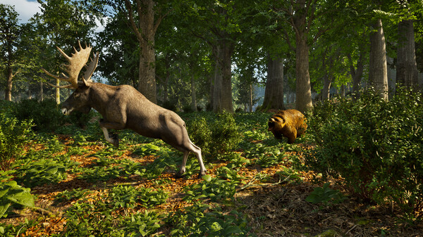 公园护林员模拟器免安装绿色版