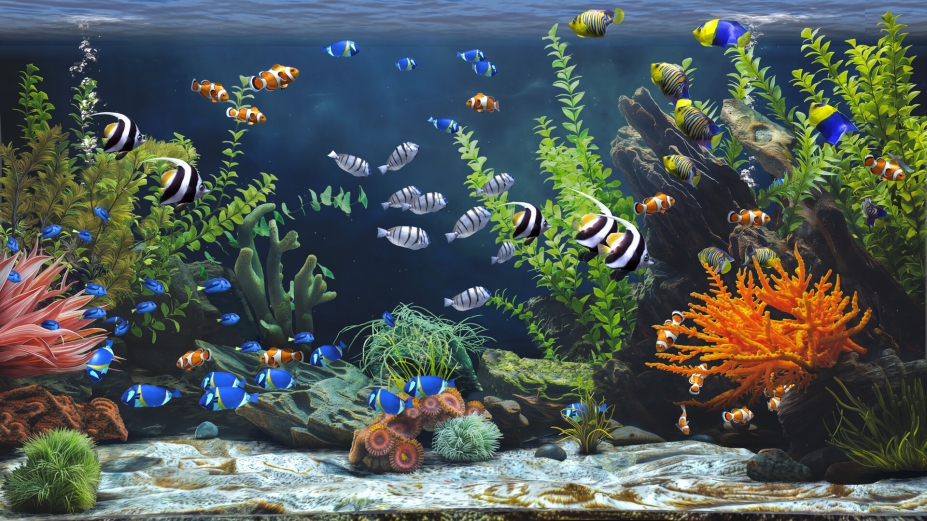 禅意水族馆中文免安装版