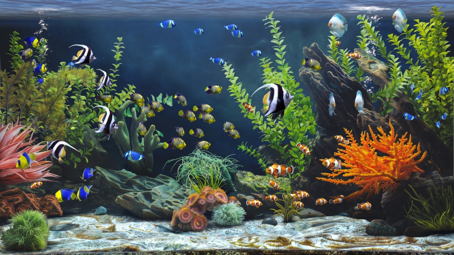 禅意水族馆中文免安装版