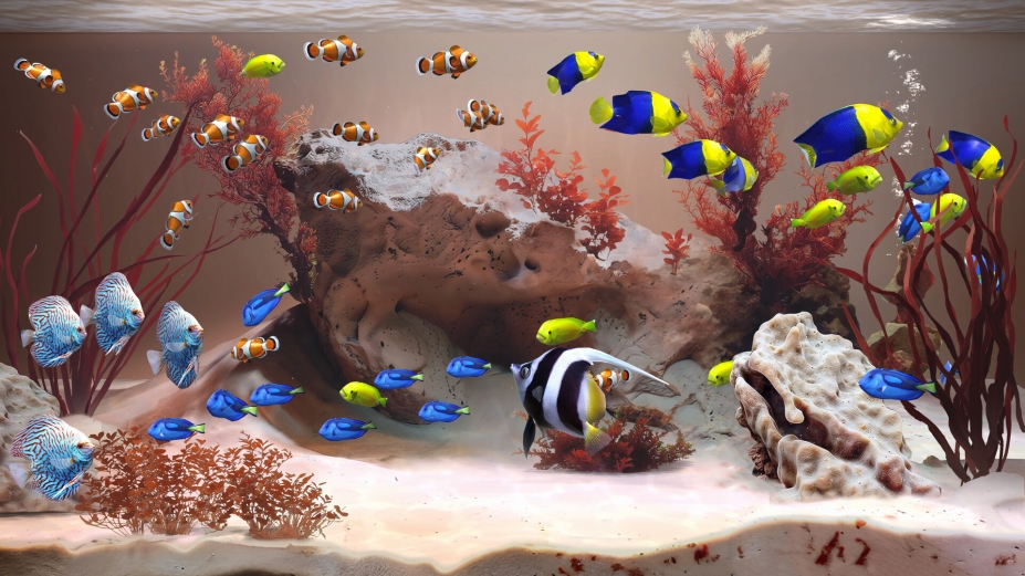 禅意水族馆中文免安装版