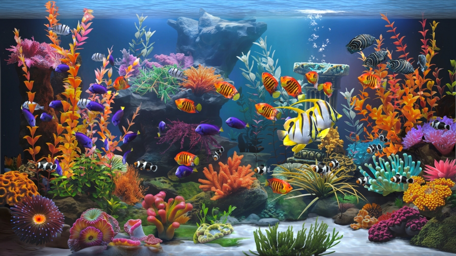 禅意水族馆中文免安装版