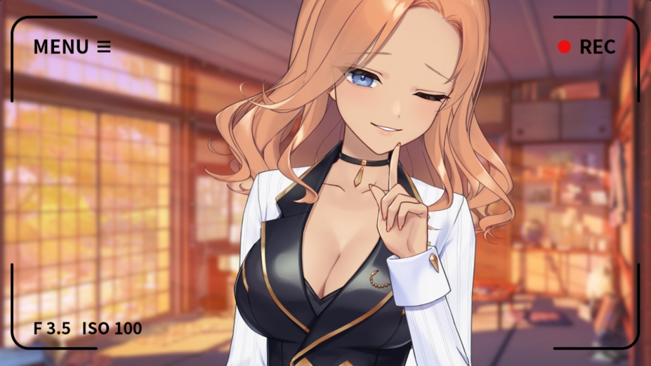 你的另一个老婆免安装中文版