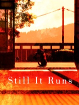 猫还在逃吗？绿色中文版