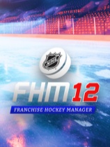 特许经营曲棍球经理12绿色免安装版