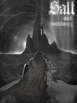 盐和避难所免安装绿色中文版