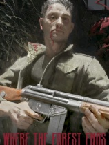 森林尽头免安装绿色版