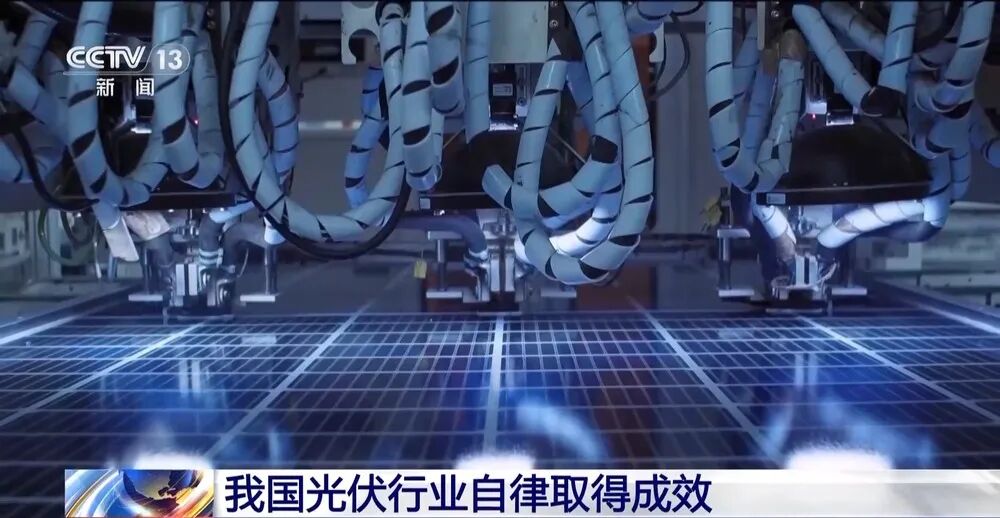 央视报道：光伏自律取得成效