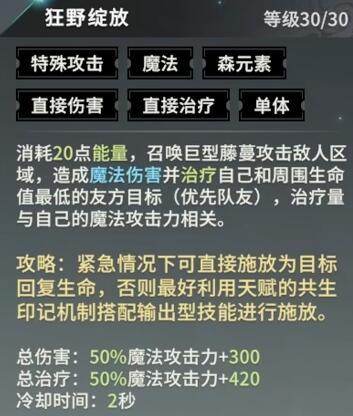 星痕共鸣辅助阵容怎么搭配 星痕共鸣辅助阵容怎么搭配