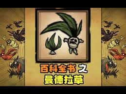 饥荒曼德拉草有什么作用