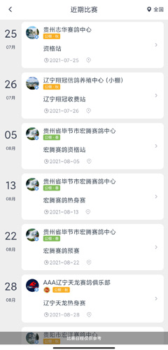 《咕咕信鸽》查询成绩方法