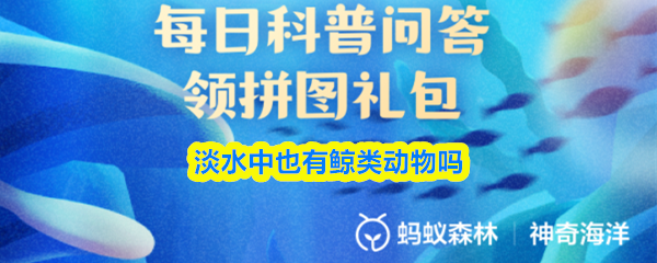 淡水中也有鲸类动物吗