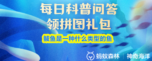 鲅鱼是一种什么类型的鱼