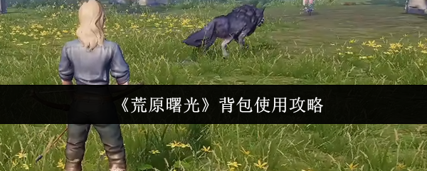 《荒原曙光》背包使用攻略